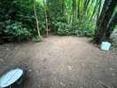 Great sense of peace, fire pit would make for a nice place to relax.