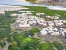 Monknash beach