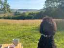 Morning cuppa with a view