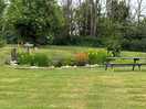 Wildlife pond on site