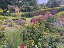 Gardens on site