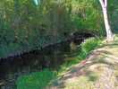 View along the stream at the back of our pitch