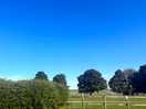 Clear blue in the morning
