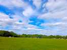 The railway meadow, lots of space