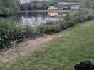 Lake view of cafe
