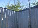 Quirky shower