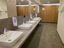 Toilets.
