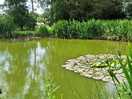 Fishing small lake available.