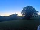 Evening skies