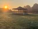 Morning dew