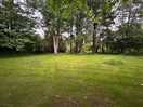 Grass area