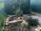 Herb patch