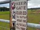 Alpaca field sign