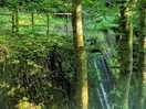 Near by waterfall and walk