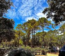 Campeggi per tende in Corsica