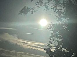 Moonlight