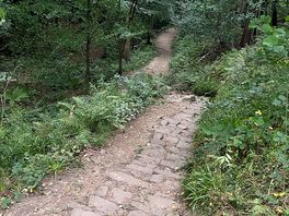 Steps down to the waterfall in the woods