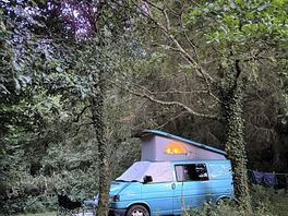 Forrest camping spot