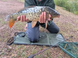 First carp, second was bigger but cannot upload for some reason