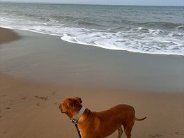 Nearby beach