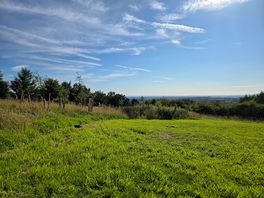 Top field