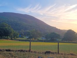 Campsite evening