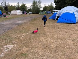 Perfect for kids and dogs