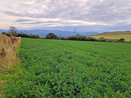 Field with a view