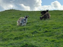 Friendly locals