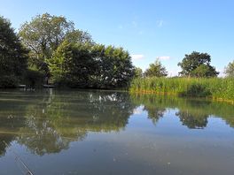 Ash lake.