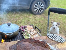 Fire pits allowed and dog friendly