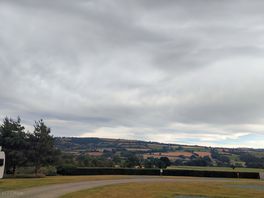 The view
