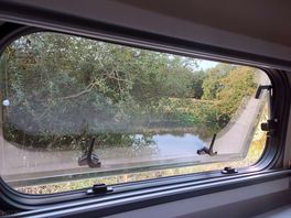 Lovely view to wake up to