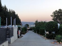Vue de l'allée principale