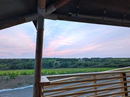 View from the lodge