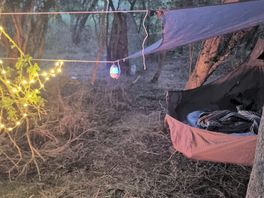 Hammock setup