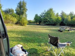 Wilma the basset-hound chilling at rosehip wood.