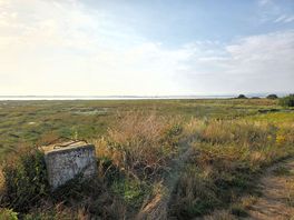 View from path