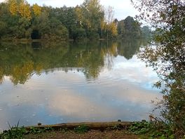 Morning walk around the lake