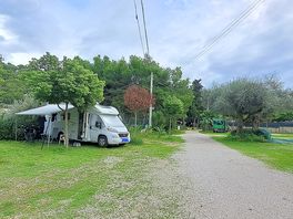 The site