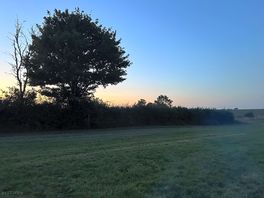 Sunset view