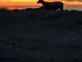 Lovely sunsets