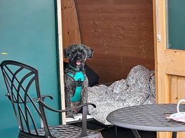 Glamping pod