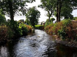 The river on site