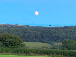 The moon coming up!