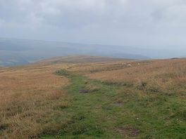 Views on the walks