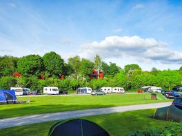 Large peaceful pitches