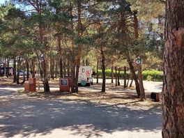 The campsite with tree-shaded pitches