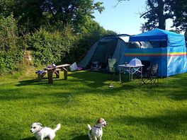 Our little setup