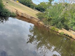 The stream nearby for a spot of paddling.